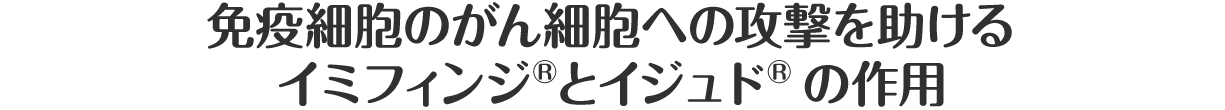 免疫細胞のがん細胞への攻撃を助けるイミフィンジ®とイジュド®の作用